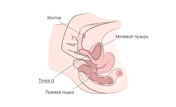 Точка G